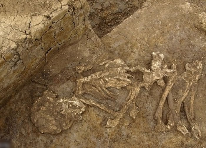 �о�ָ�����ź������ӹ������ڳ��ñ��档