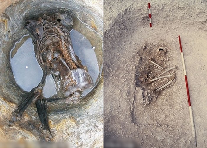 ѧ�߹��ƣ������ź����ڵ��£���Ҫ������֤���й������������ˡ�