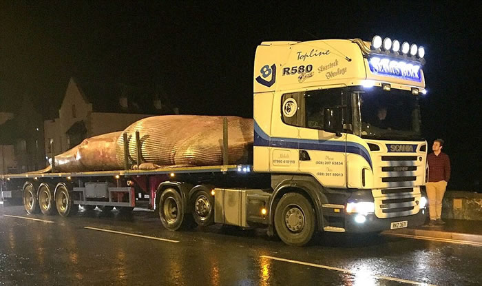 Ӣ�������������ְ�������������ǳ����