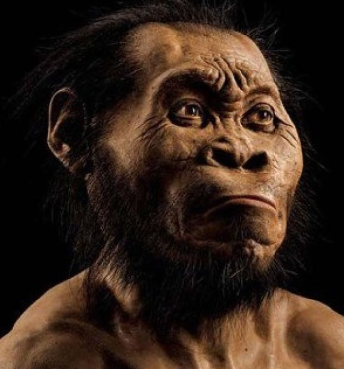 这些骸骨属于名为“Homo Naledi”的新人种。图为构想图。