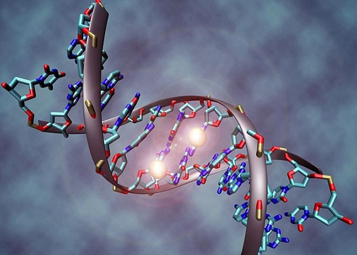 DNAĻ9С򣬿ɾһ˵ȡ