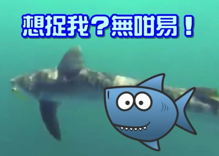 ����Ϊ���ϵ�4�����㣬�Ը�ʮ�ֺö���