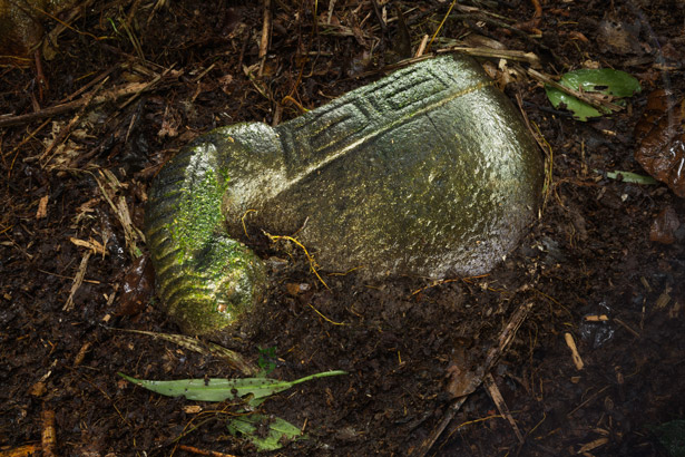 考古学者在遗址中发现了一批石器,可能是被留下来当作祭品的。它们当中包括以秃鹰和蛇的图案装饰的罐子。 Photograph by Dave Yoder