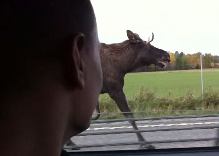 ����˾��ʻ����¹�ԡ����ܡ���