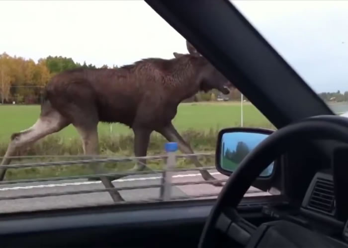 ��¹ר�����ܲ�����������˾���������к���