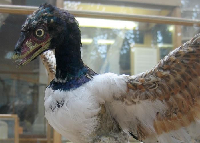 ר��ָʼ�������ڷ��з���ͼΪʼ����ģ�͡�