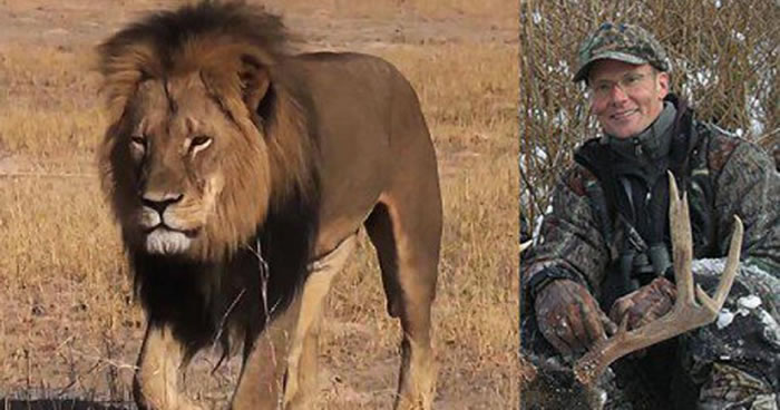 ��Ͳ�Τ����������������ҽ�ֶ�����������������ɱʨ����������������ָ��