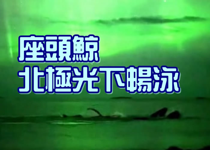 ŲӰʦڡ㵺ͷ³ӾһĻ