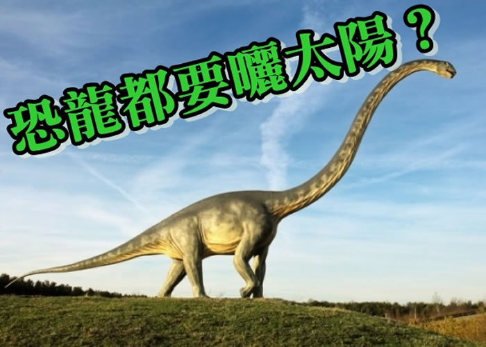 ��ѧ��ָ������һ���������Ѫ���ͼΪ��������������