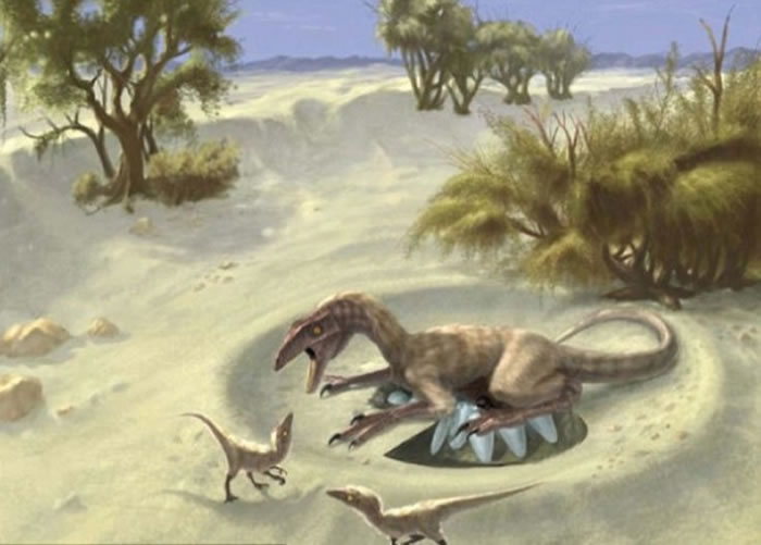 �޽���Ŀ��ʳ����Ʒ������������