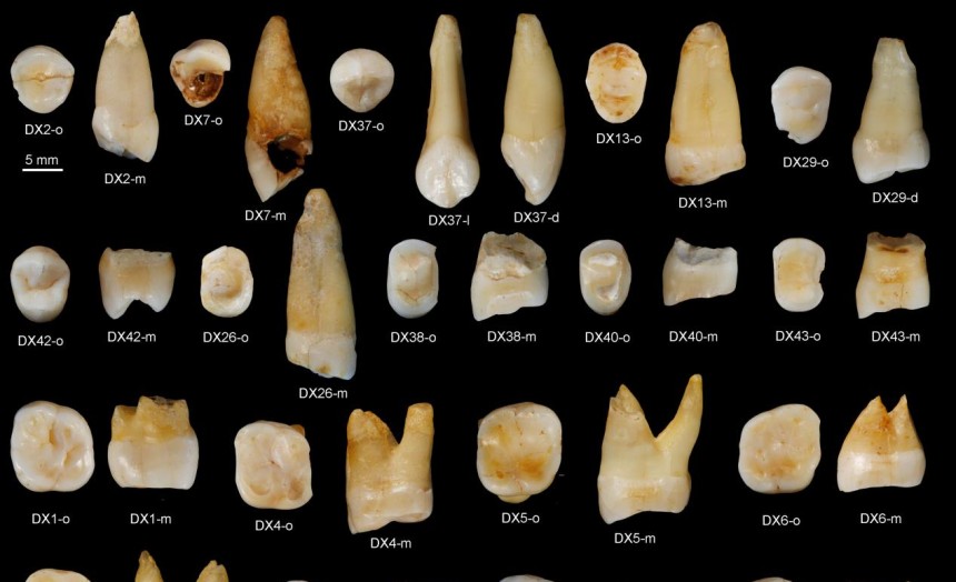 东亚人类祖先在湖南?道县发现东亚最早现代人化石