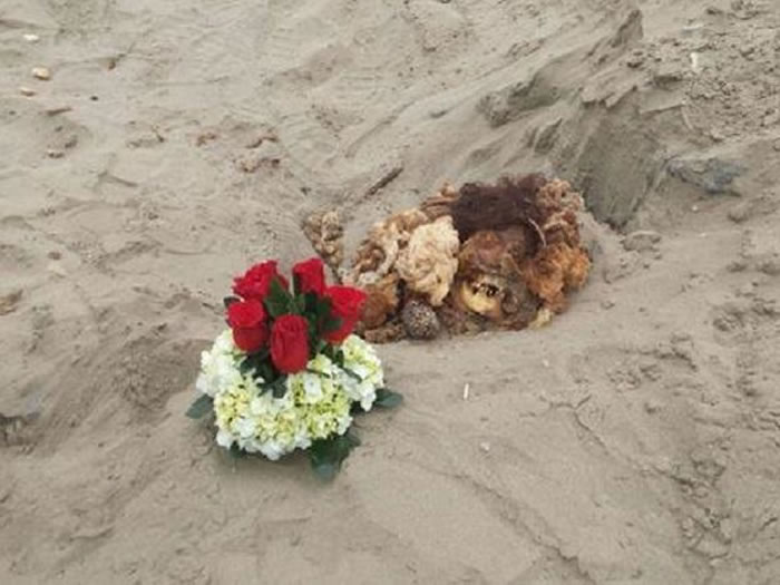 ��³�׶�������Ī������һɽ���Ϸ���һ��ǰ������ʱ��ľ����