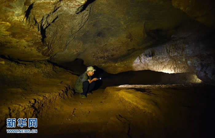 10月16日,湖南道县文物管理局副局长杨雄心在福岩洞的人类牙齿化石发掘现场介绍当时的发掘情形。他全程参与了福岩洞人类牙齿化石的发掘工作。