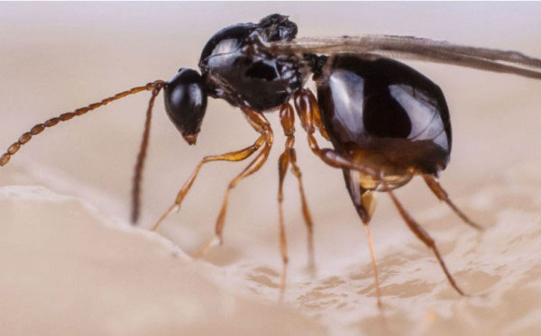 �����俿���ѻ�֪�����Ƿ��ѱ���ռ�á�