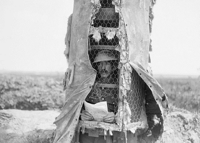 有盟军缩身假树内,以避狙击手射杀。