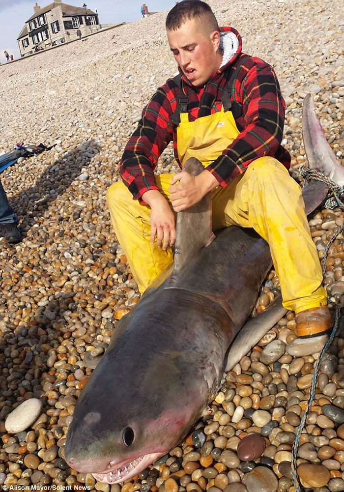 Ӣ����������ɪ������2�׳�������