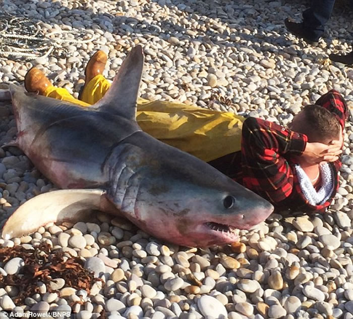 Ӣ����������ɪ������2�׳�������