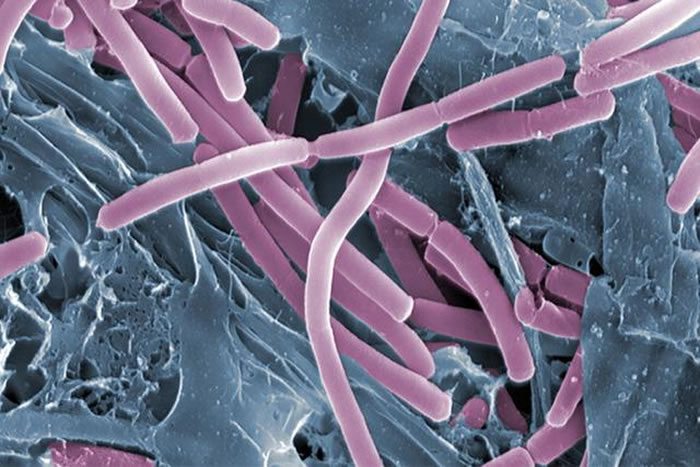 ľдڸþʣЩԪصĴڣϸܹǽ