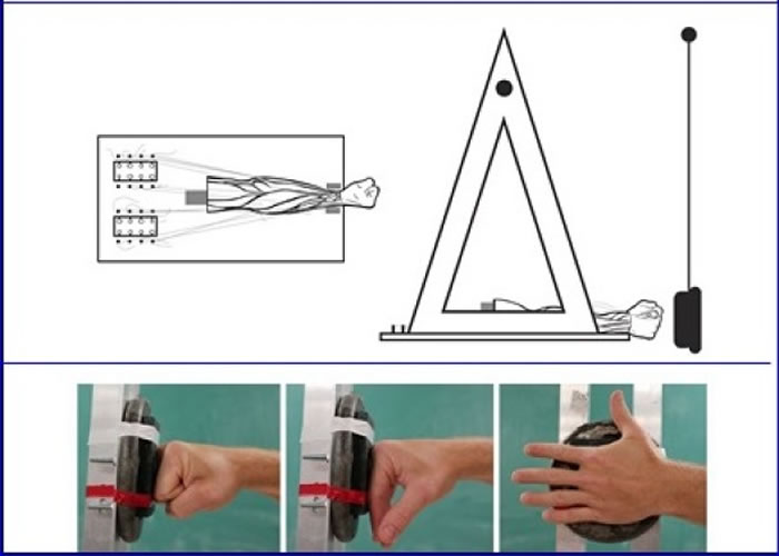 研究人员以死人臂制作仪器(上图),研究人类的手掌的结构及用途。下图为真人手臂示范。