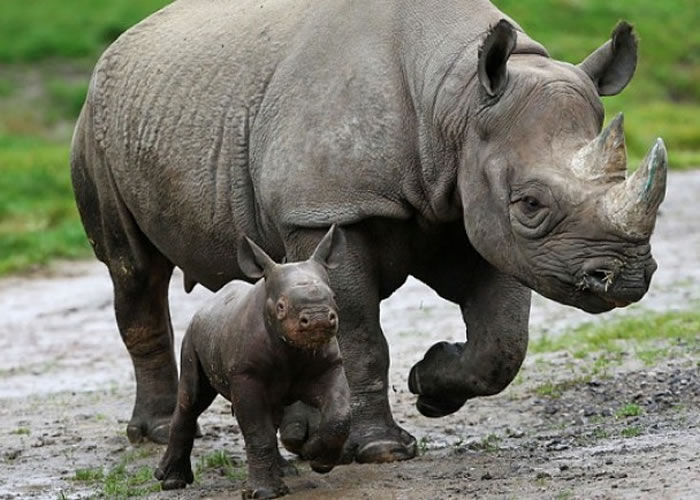 �����������һ����Ϸ��ĸ�����