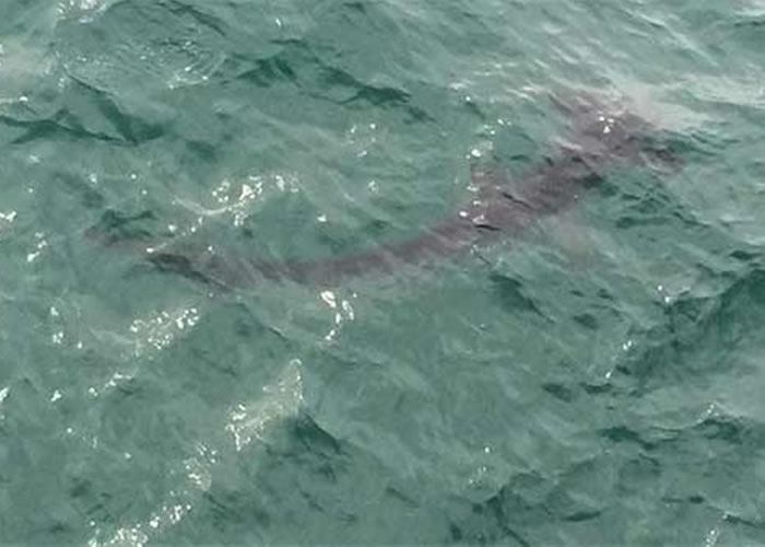 8�ճ���ͷ�贳���������¸�̲ˮ��