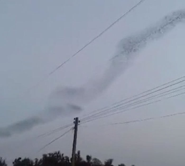 ��ǧ����ֻ�������ѷɹ�̩������������