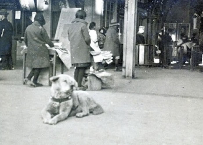 �˹�����Ƭ�еı���ʮ����Ȼ