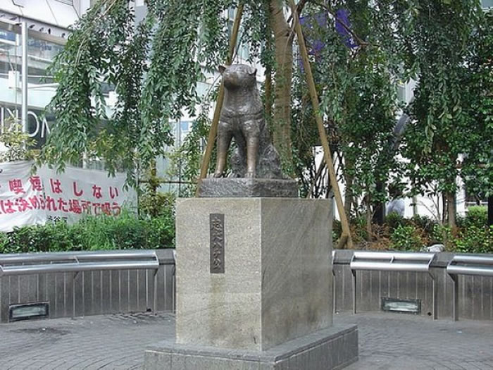 ��Ȯ�˹��������������ȵ�