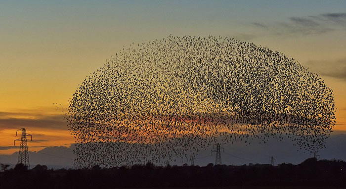 Ӣ�������������Ͽս��ճ��ֳ�ǧ����ֻ�˸�����Ǩ�����Ȼ����