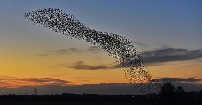 ���ǳ�Ⱥ��ӵ�������з������£����ϱ仯���Ρ�