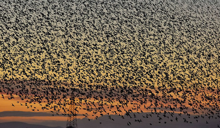 �˸��Ǽ���Ǩ����Ϊ�˵�����������ԡ�ͬʱ��Ⱥȡů