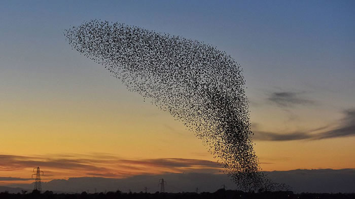 ���־���һ������ﶬ����֮ʱ