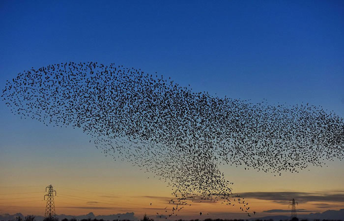 ����к�ѹѹ��һƬ��������ա�