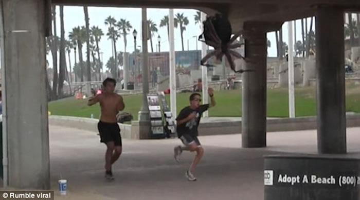 美国男子用巨型机器人蜘蛛惊吓路人走红网络