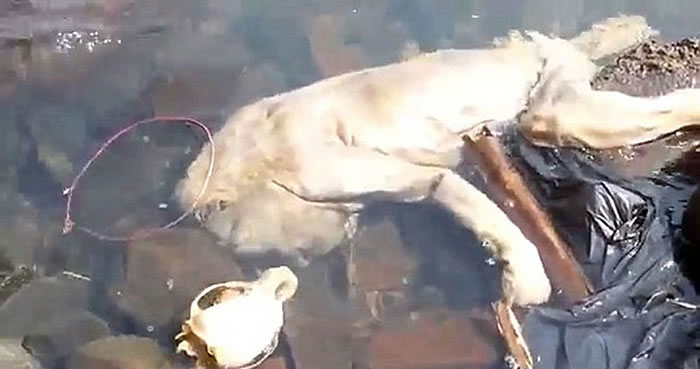 ϲ̩յľǰڸϪпһѾõʬ