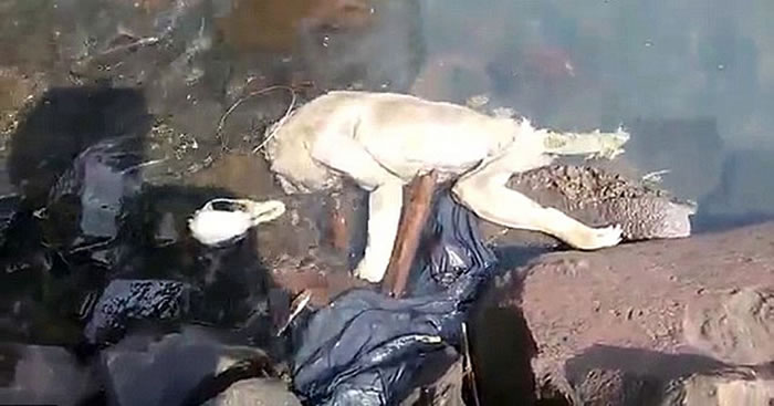 ŵĵΪܾǴ˵еѪ׿ؿ