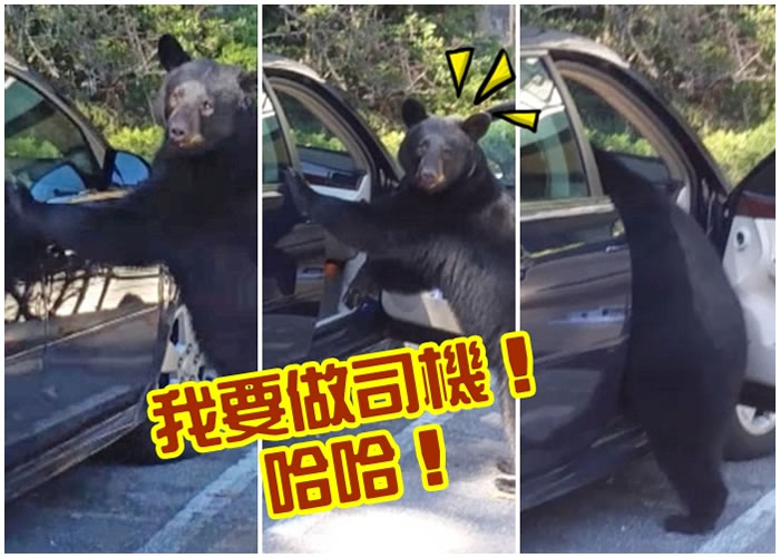 �������ϼ�ʻ����һ�����Ҿ���˾������ģ��