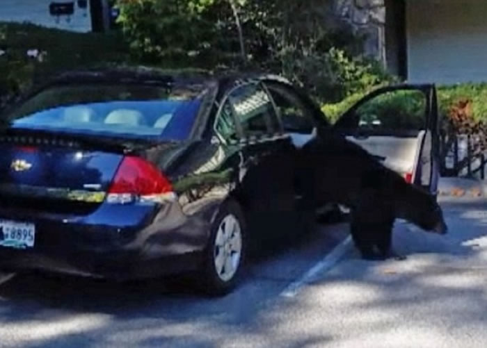 ͻ�����������������ŵ����ܣ�����æ�ӳ�����������