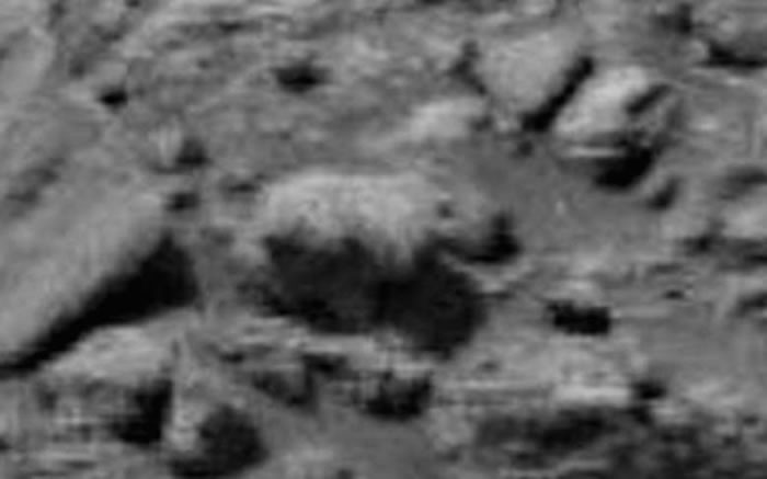 UFO���˳��ڻ��Ǳ��淢�֡����ܡ�