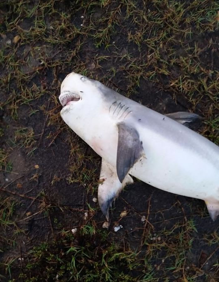 �������������ݾ����Ժ��Ȼ����һ����ţ��