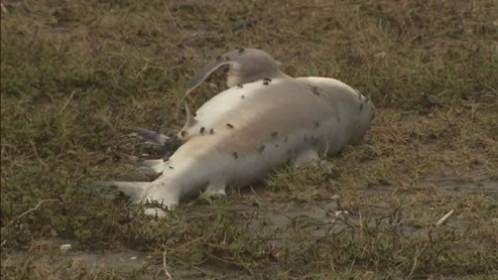 �������������ݾ����Ժ��Ȼ����һ����ţ��