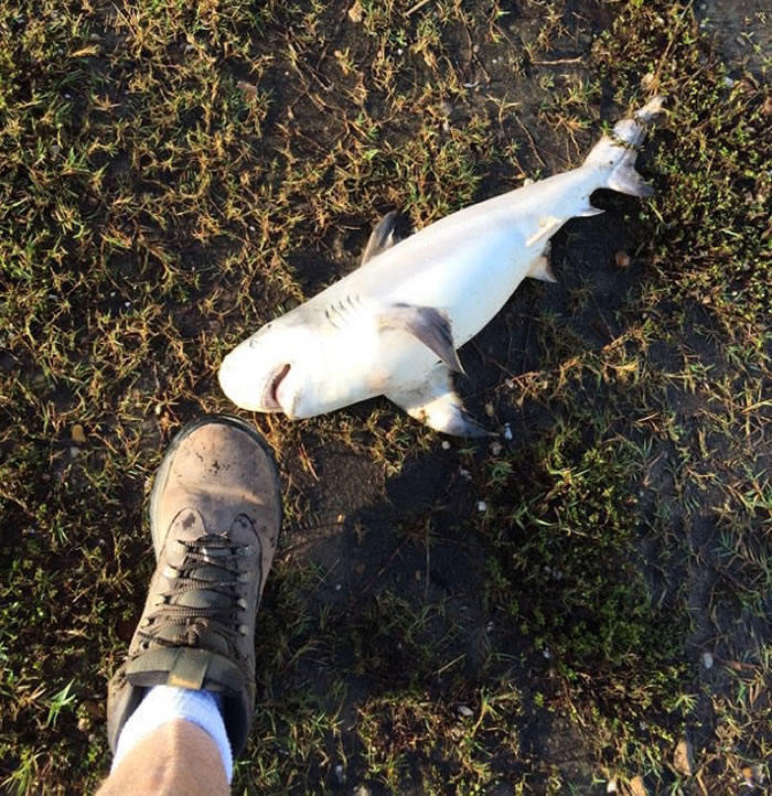 �������������ݾ����Ժ��Ȼ����һ����ţ��