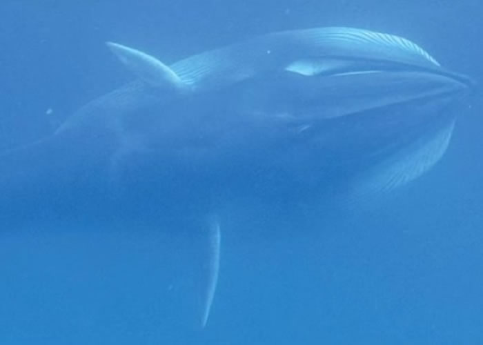 о֯Ѱ10˹ӷƷ־㡰ǵ