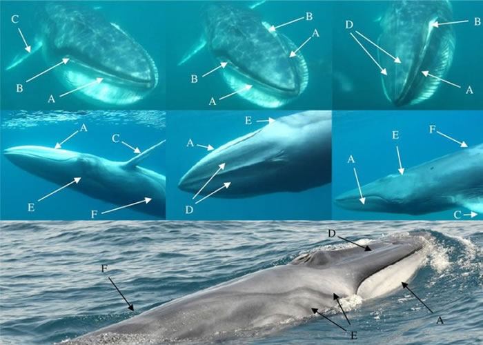 о֯Ѱ10˹ӷƷ־㡰ǵ