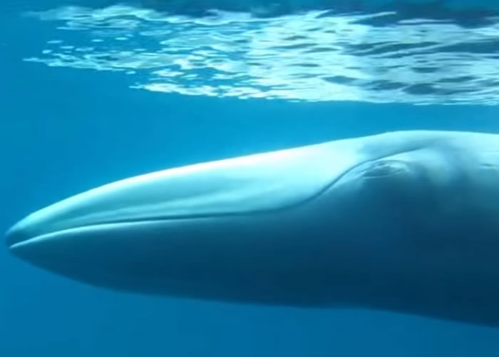 о֯Ѱ10˹ӷƷ־㡰ǵ