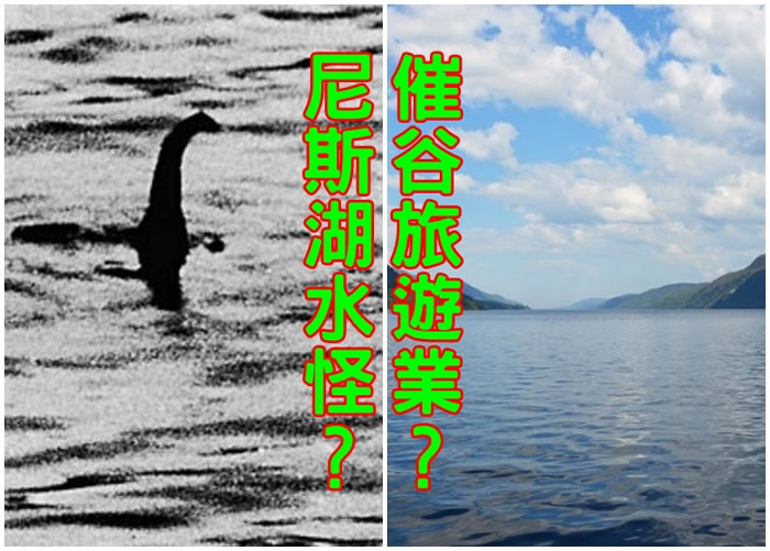 水怪的真伪一直未能被证实