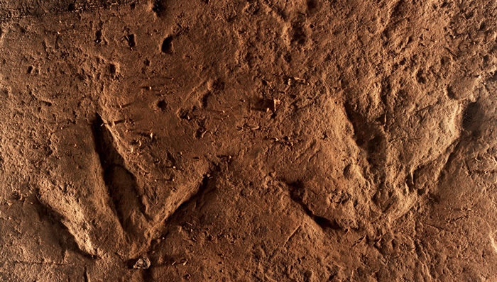 重庆綦江国家地质公园莲花保寨恐龙足迹群为中国最完美足迹化石点