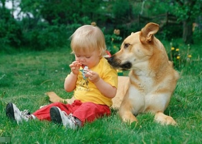 研究指儿童愈早接触狗狗,患上哮喘的机会愈低。