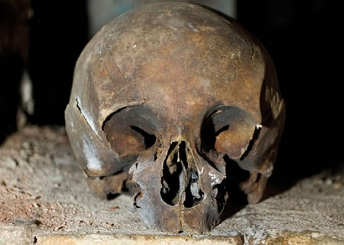 ʥ���ɵ½�����ְ��Ա��Ϊͷ�ǽ���DNA����