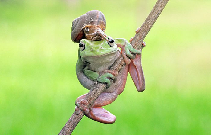 ӡ���������������ԼҺ�԰�ĵ��Ĵ��������ܺ���ţ��г�����Ļ���